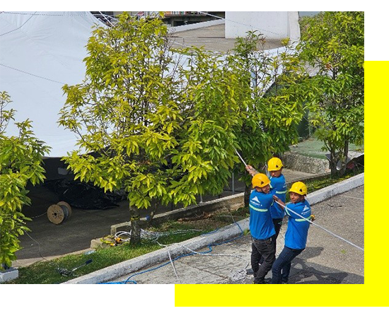 Trabajadores de Grupo Pilarsa
